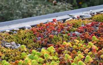the cost of Broadoak End green roof installation