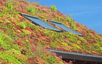 Broadoak End living roof systems