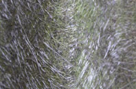 Broadoak End fibreglass roof work